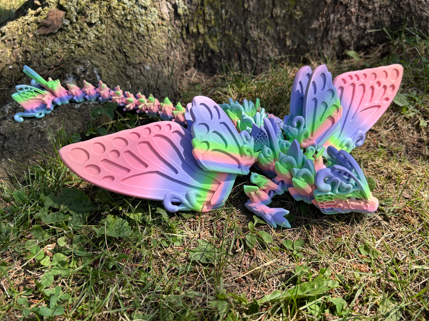 Butterfly Dragon