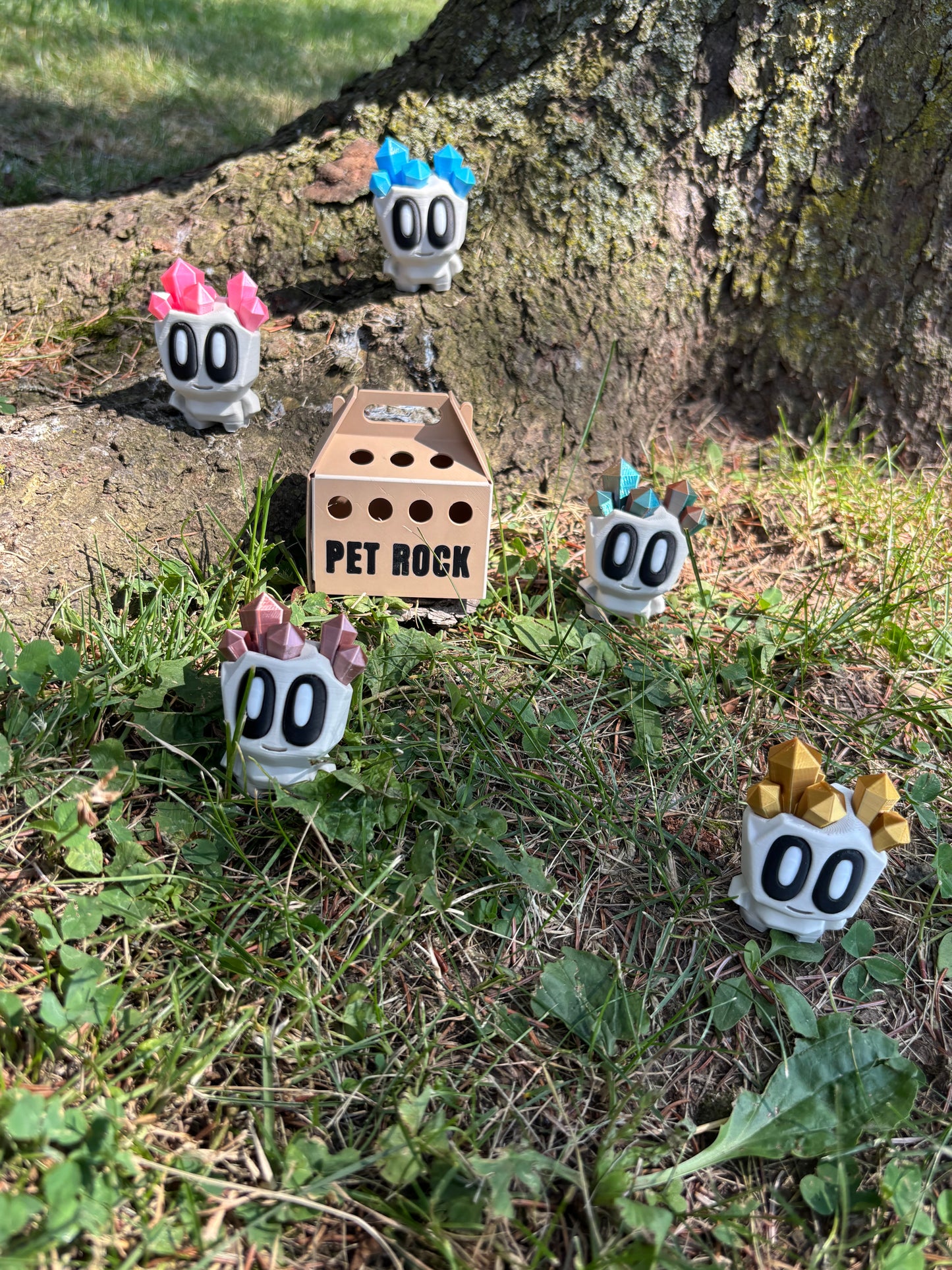 Pet Rocks