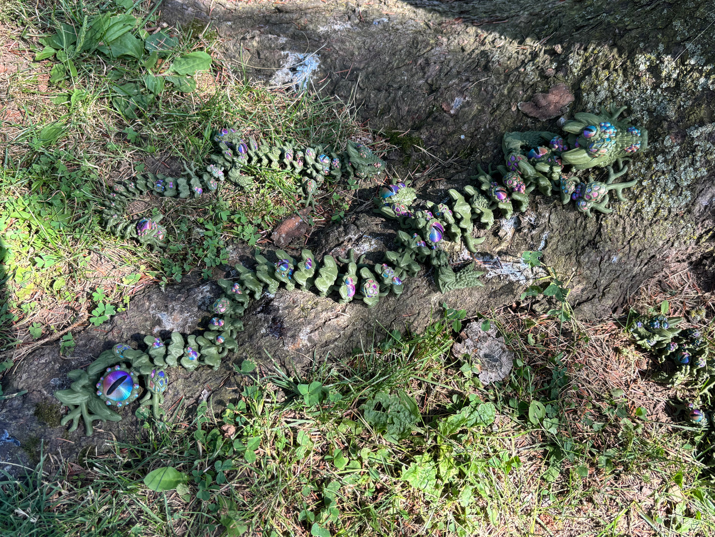 Infested Dragon