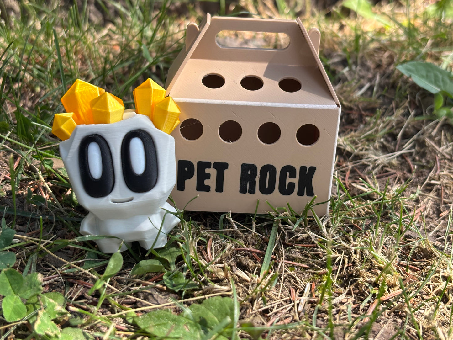 Pet Rocks