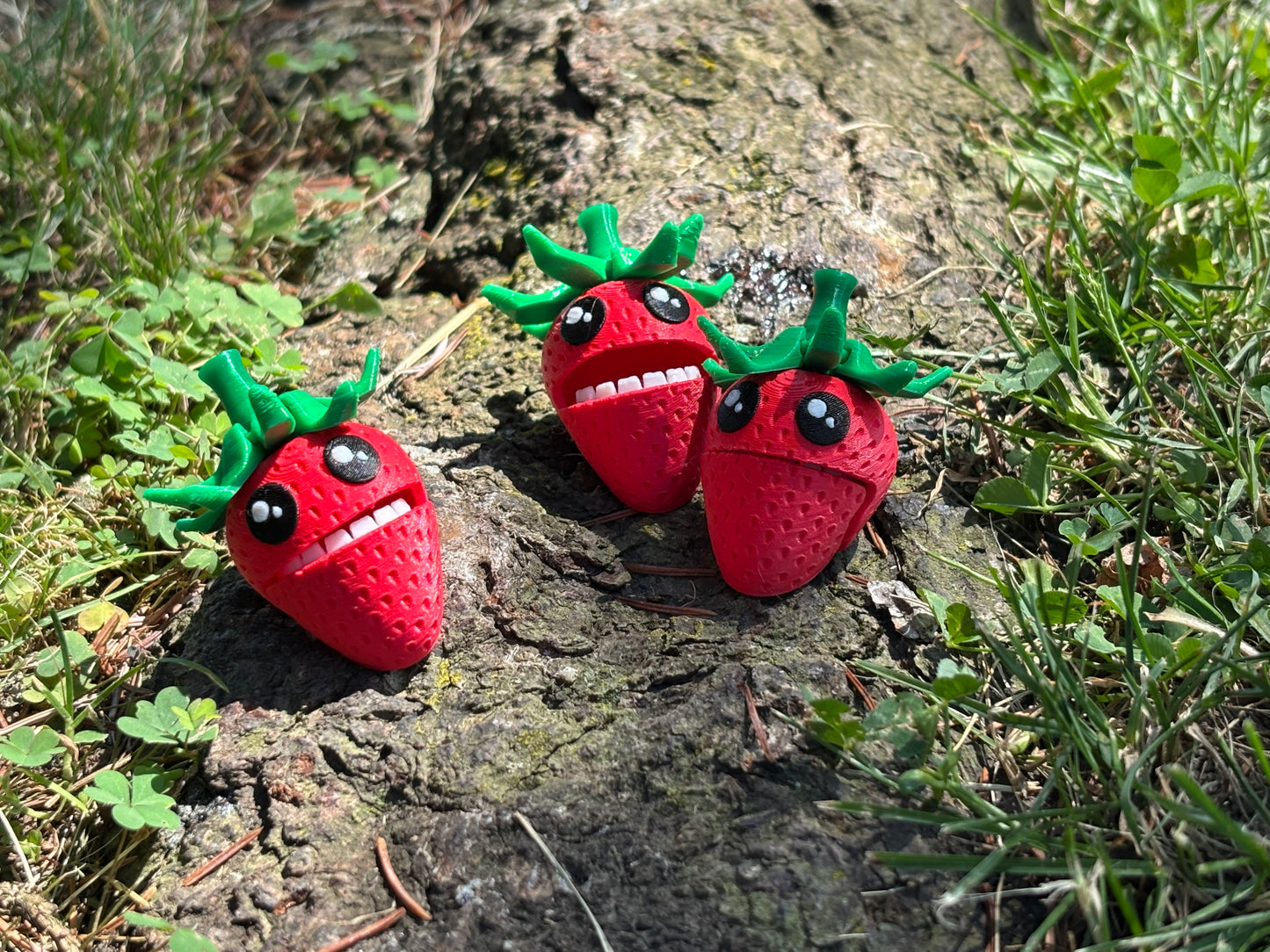 Silly Strawberries