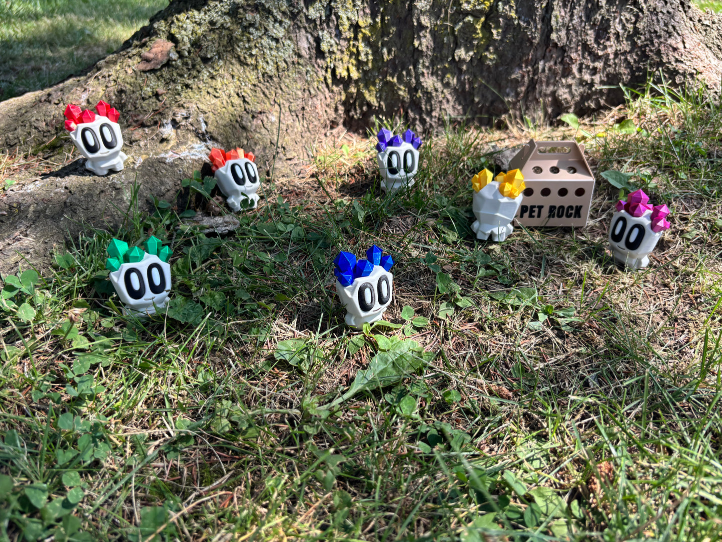 Pet Rocks