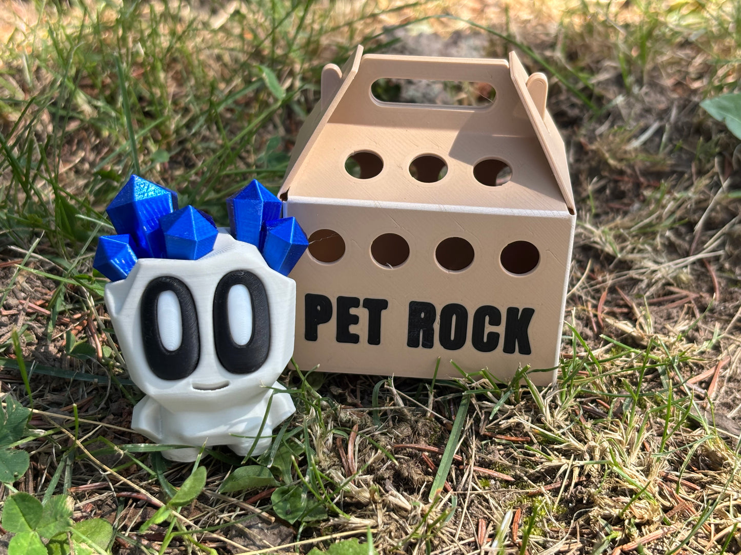 Pet Rocks