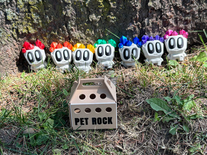 Pet Rocks