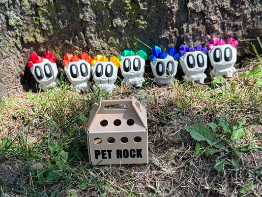 Pet Rocks