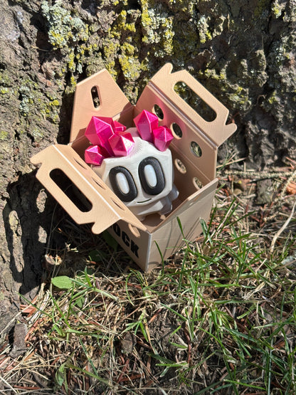 Pet Rocks