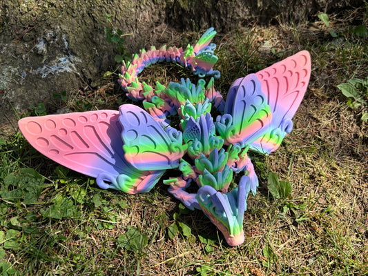 Butterfly Dragon