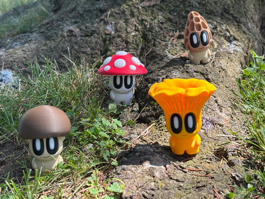 Cute Mushroom Characters