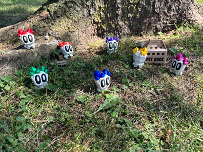 Pet Rocks